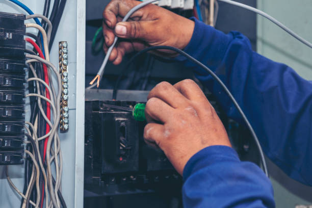 Best Electric Panel Repair  in Bamberg, SC
